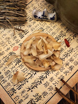 干百合中药材滋补品的视觉魅力与中医药文化内涵